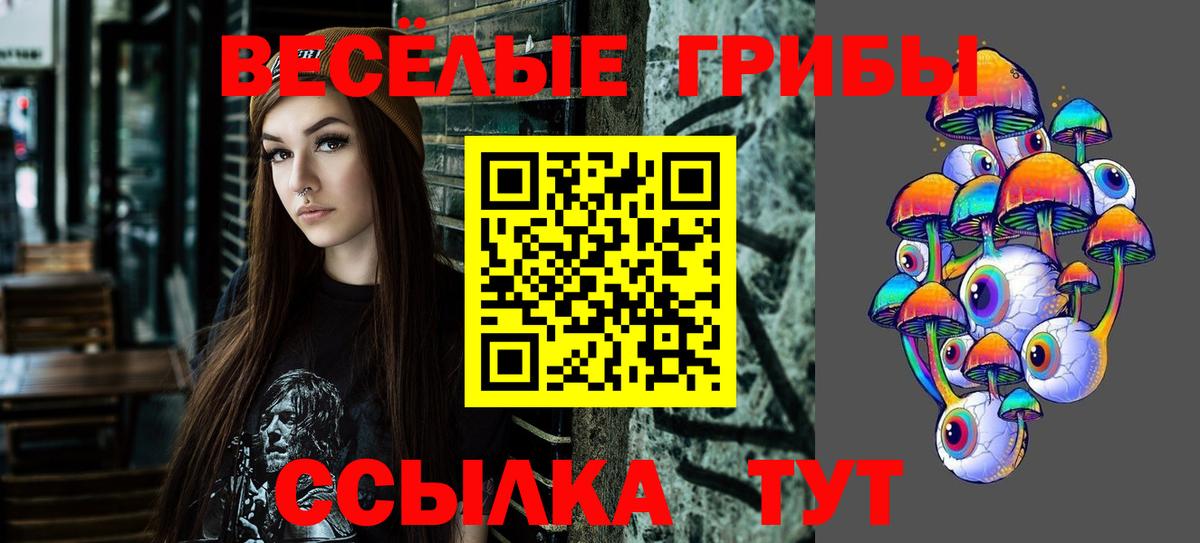 Галлюциногенные грибы прущие грибы  Галлюциногенные грибы ЛСД  Вход с VPN  Абакан 
