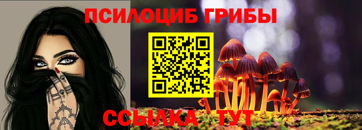 Псилоцибиновые грибы Magic Shrooms Абакан